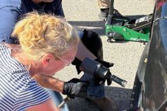 PitcrewPhotoOct32025-118